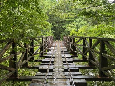 屋久島 一人旅 に関する旅行記 ブログ フォートラベル 鹿児島県 屋久島 一人旅 に関する旅行記 ブログ フォートラベル 鹿児島県