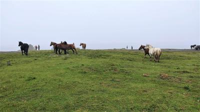 20210721-25　下北・津軽半島と日本海沿い乗り鉄の旅　vol.1　仏ヶ浦、大間崎、尻屋崎、恐山