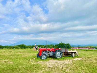 夏のニセコでアパート滞在旅(2) 半月湖、奥土農場石窯パン工房、ニセコチーズ工房、ふきだし公園、湧水の里、ニセコ高橋牧場