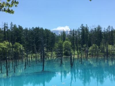 夏の爽やか北海道　青い池周辺観光→札幌編