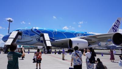 21年フライングホヌ搭乗記　ANA FLYING HONU チャーターフライト