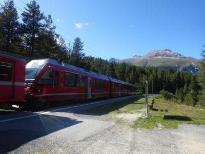 絶景が広がるアルプスの山歩きと鉄道の旅：スイス、リヒテンシュタイン旅行【５８】（2019年秋 ８日目⑫ エンガディンカードの実力Ⅱ）