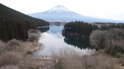富士山の旅　三日目前半【休暇村富士　最終日】