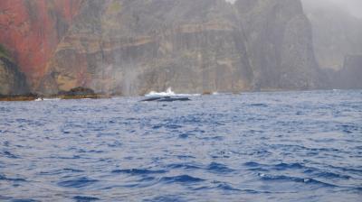 小笠原諸島父島 旅行記