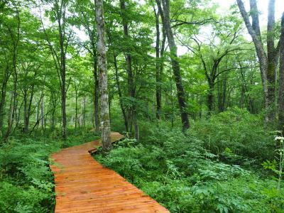 2021.08 家族で長野に避暑旅行(1)戸隠の森を散策編