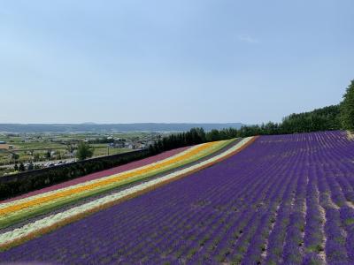 7歳4歳連れ　日帰り富良野