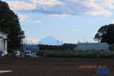 川越市下松原地区で見られた富士山