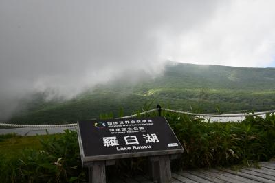 今日はガスって羅臼岳を隠して意地悪だね