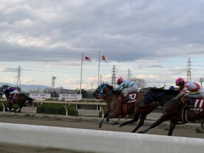 6日間で5競馬場、園田競馬場編