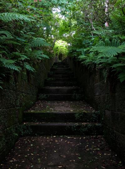 函館山縦走 砲台跡を求めて