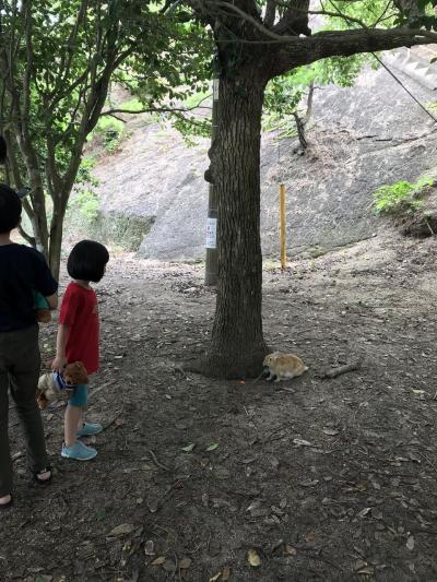 大久野島　子連れ旅行　10歳　5歳