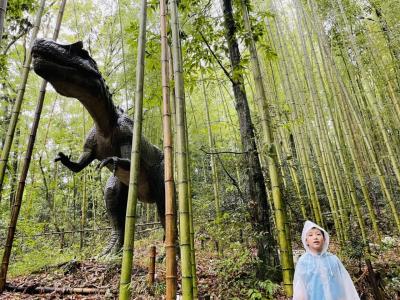 雨の日のみろくの里　子連れ　10歳　5歳