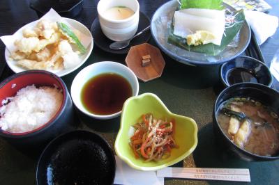 GOTO特典で鳥取に三姉妹子連れ旅行　前半