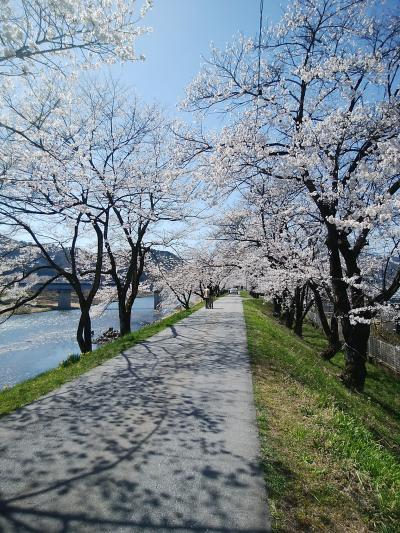 絶景温泉とサクラの旅 in 岐阜　後編　飛騨