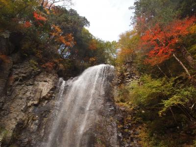 一年越しのきのこ蕎麦を味わいに長野県大滝村へ、御嶽山と清滝も行ってきた