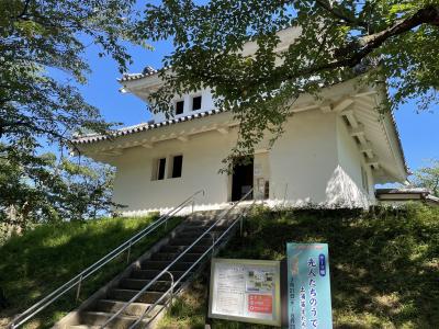 土浦城、新木戸大銀杏公園、佐倉城址公園　国盗り夏の陣スポット巡り　茨城・千葉編