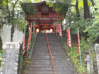 水澤観音、耳飾遺跡、箕輪城、ブドウ街道