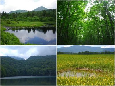 夏の青森でハイキング三昧の東北旅　三日目・蔦沼・田代平湿原