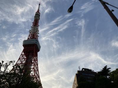東京散歩2020－2021　～コロナとたたかう日本の首都～