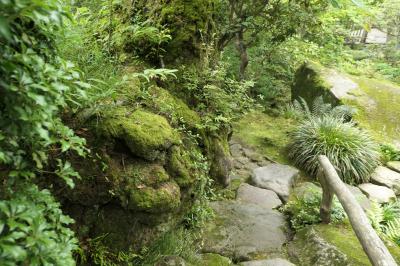 初夏の箱根旅行♪　Vol.13 ☆強羅：煌めく初夏の「箱根強羅公園」♪