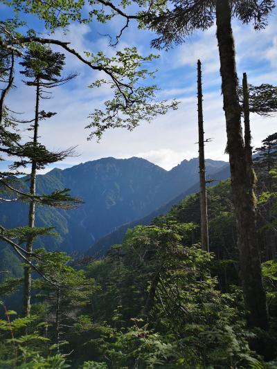 にわか山が～越百山に立つ！