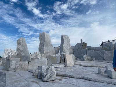 レモンとアートの生口島と未来心の丘
