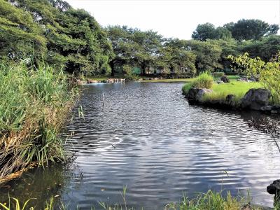 見沼田んぼ①』埼玉スタジアム2002・さぎやま記念公園・氷川女體