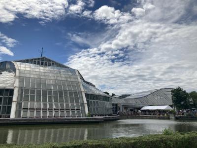 大人気すぎた「世界一、大きくて臭い花」＠京都府立植物園、ランチ＠笹屋伊織別邸、ちょこっと後祭