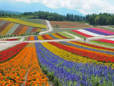 神々の遊ぶ庭、大雪山国立公園へ山旅⑤（美瑛編）