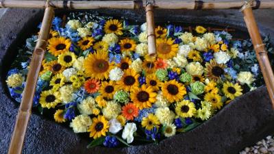 北海道 花手水 に関する旅行記 ブログ フォートラベル 北海道 花手水 に関する旅行記 ブログ フォートラベル