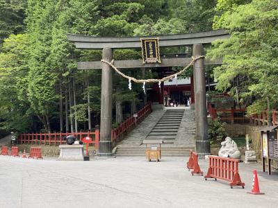 【2021】サッカー日本女子代表「なでしこジャパン」観戦　栃木遠征　旅行記【1日目/後編】