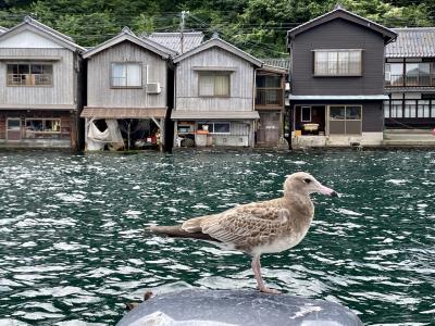 ギリギリマイクロツーリズム　海の京都編