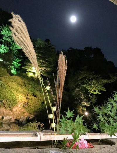 静かな京都 2020年秋　虫の音と名月に癒される♪　