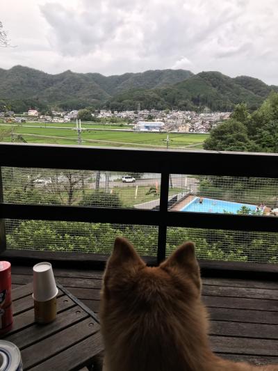 【犬とおでかけ】姫路ゆめさき川温泉　夢乃井