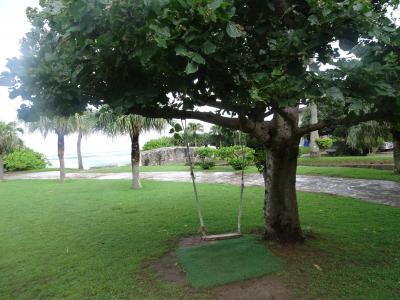 世界遺産の奄美大島へ子連れ旅!前編 6歳4ヶ月