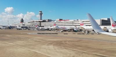 2021.8　JAL羽田↔広島搭乗記