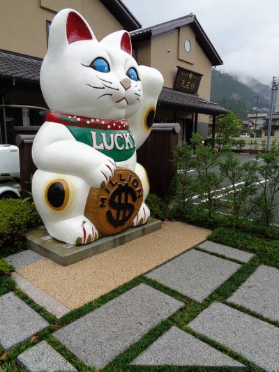 猫と温泉探し【岐阜（下呂温泉・Gero hot spring）編&#917763;】