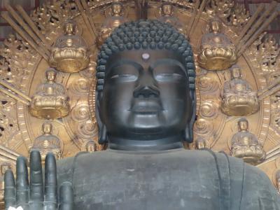 2日半で世界遺産めぐり　古都奈良の文化財＆法隆寺地域の仏教建造物群