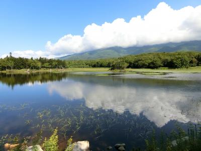 2021年9月 知床に行ってきた①【羅臼・知床五湖】