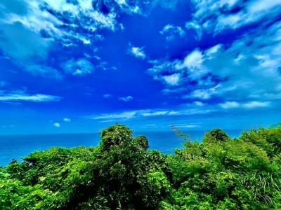 屋久島に関する旅行記 ブログ フォートラベル 鹿児島県