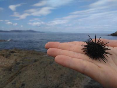 間人で海にちょっとちゃっぽん、久美浜でスムージー