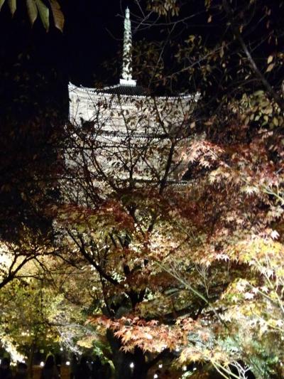 京都の夜を散歩、、、紅葉ライトアップ