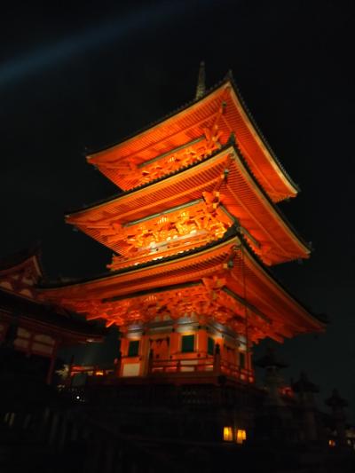 ほんわりあったかい京都へと(Part 6. 清水の夜へ)