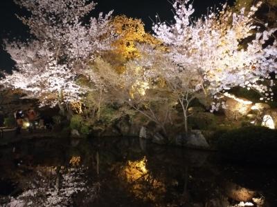 ほんわりあったかい京都へと(Part 8. 清水以降も、夜は続く)