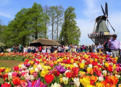 ヨーロッパ お花畑 に関する旅行記 ブログ フォートラベル