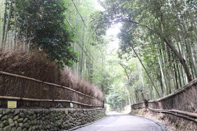 京都、滋賀の旅①