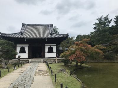 大人の京都旅行～最後の日はお寺巡り