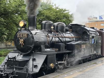 鉄印の旅（11真岡鐡道/12鹿島臨海鉄道）