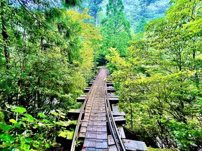 屋久島に関する旅行記 ブログ フォートラベル 鹿児島県