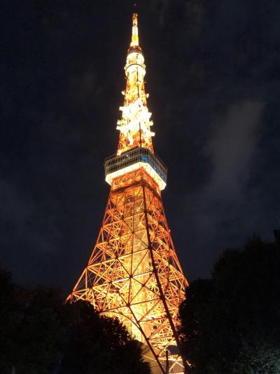 夜の東京タワーを見にふらふら散歩